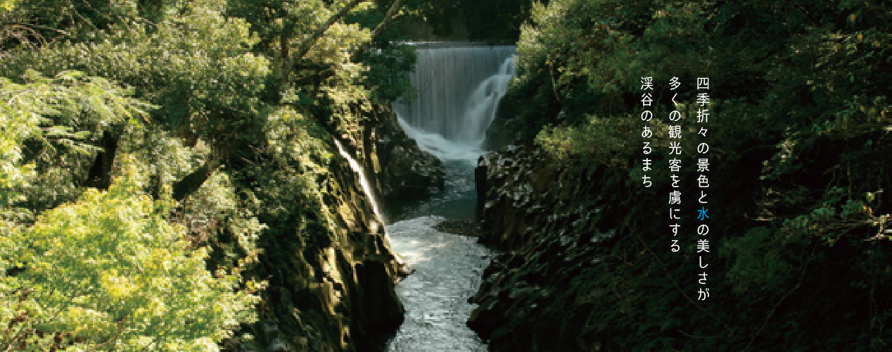 top_visula07